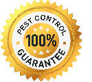 pest-control-guarantee